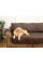 Накидка на диван двухстороннее Couch Coat водонепроницаемое