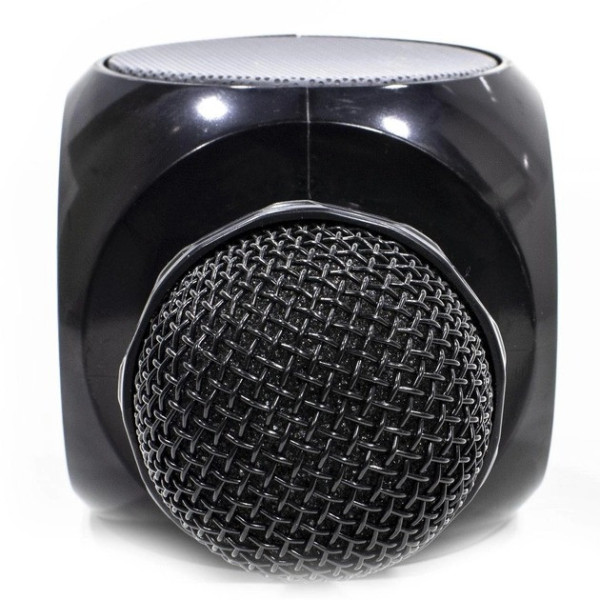 Микрофон для караоке с динамиком WSTER WS-1816 Bluetooth USB AUX FM беспроводной
