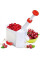 Машинка Helfer Hoff Cherry and olive corer для удаления косточек из вишни и черешни с ёмкостью для сбора