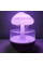 Паровий увлажнитель воздуха Гриб RAIN HUMIDIFIER с ночником и подсветкой, эффект дождя