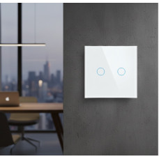 Двоканальний розумний сенсорний вимикач, без нульового дроту, скло + вогнестійкий пластик білий