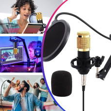 Студийный микрофон Music M-800 конденсаторный с поп фильтром стойкой и защитой от ветра