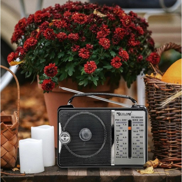 Аналоговый радиоприемник Golon RX-606AC с FM, AM, SW и TV, питание от батареек и сети 220 В