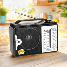 Радиоприемник Golon RX-606AC аналоговый FM AM SW TV на батарейках и от сети 220 В