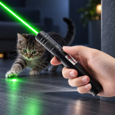 Лазерная указка для котов Laser 303 Green Laser Pointer с ключами блокировки зеленый лазер
