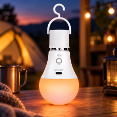 Аккумуляторная светодиодная лампа E27 A65 LED RGB с пультом и USB-зарядкой