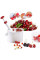 Машинка Cherry Pitter для удаления косточек из вишни, черешни, маслин и оливок с ёмкостью для сбора