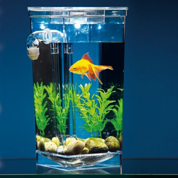 Аквариум My Fun Fish 7709 для рыб с системой самоочистки объёмом 2 л из акрилового стекла