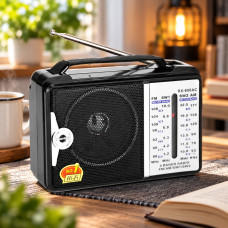 Аналоговый радиоприемник Golon RX-606AC с FM, AM, SW и TV, питание от батареек и сети 220 В