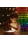 Светодиодная гирлянда 10LINE длиной 2 м с 200 лампами, RGB, USB, управление через приложение, влагозащищённая
