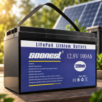 Аккумулятор LiFePO4 SOONEST 12V 100Ah с BMS 100A для глубокого цикла