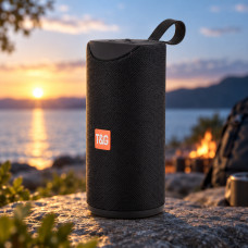 Портативная беспроводная колонка Bluetooth TG-113 с влагозащитой и FM-приёмником, стерео